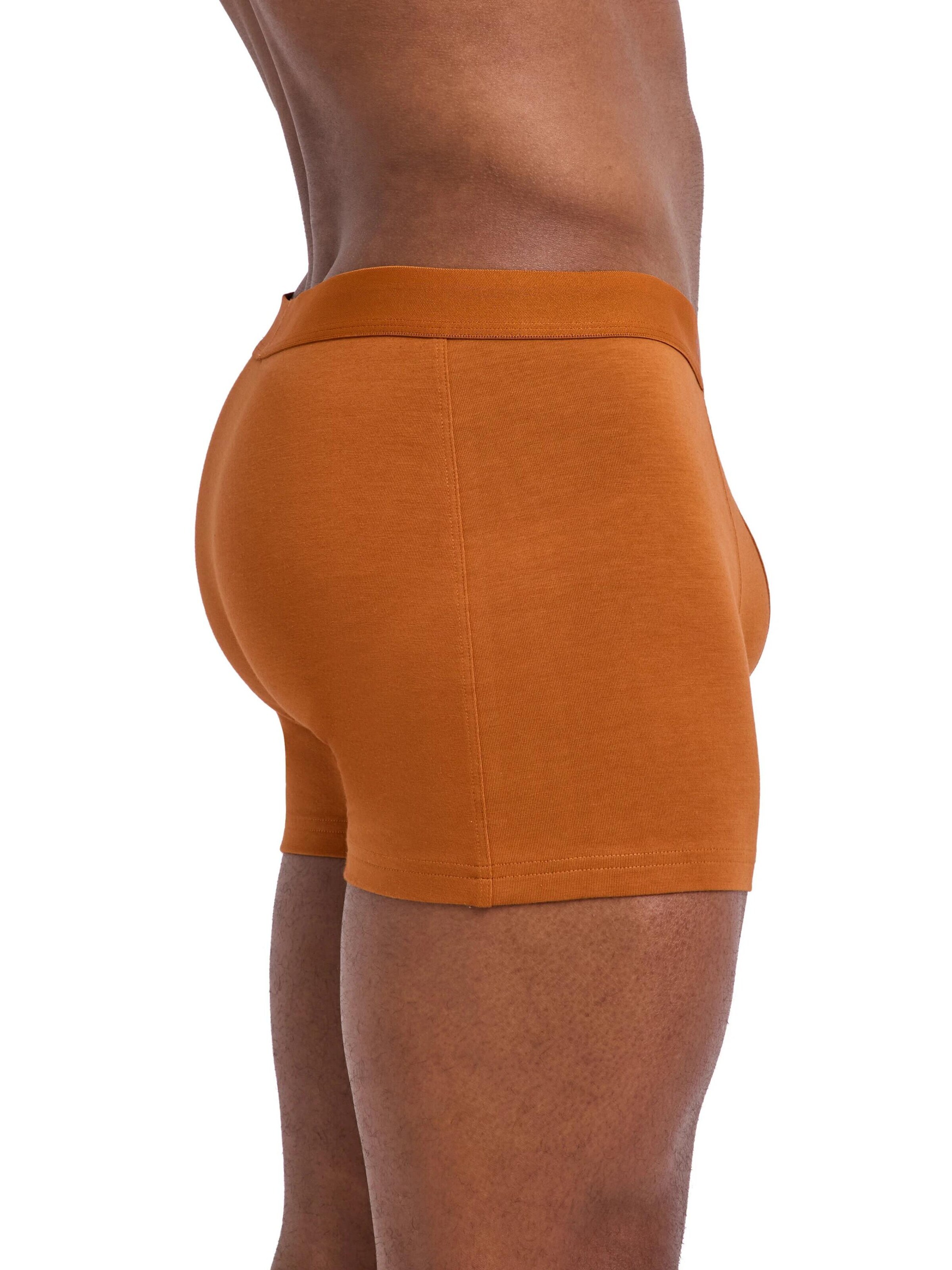 FALKE Boxer shorts '2-Pack' in Mixed colors