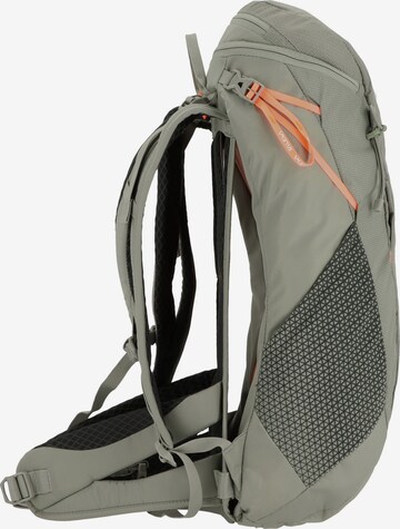 SALEWA Sportrugzak 'Alp Trainer 20L ' in Groen