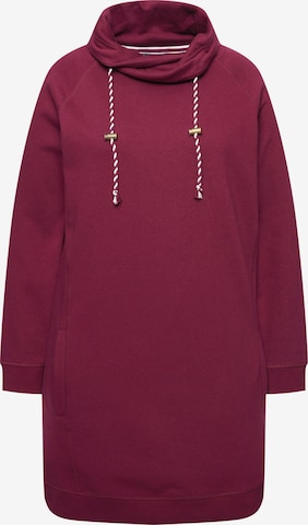 Robe Ulla Popken en violet : devant