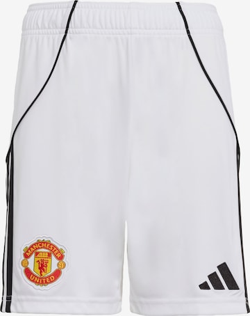 ADIDAS PERFORMANCE - Pantalón deportivo 'Manchester United 25/26' en blanco: frente