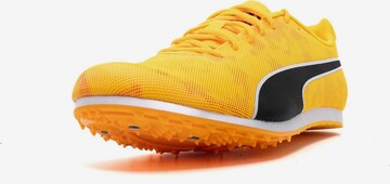 PUMA Athletic Shoes 'Evospeed Star 8' in Orange