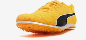 Chaussure de sport 'Evospeed Star 8' PUMA en orange