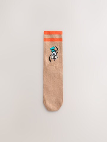 Next Socks in Mixed colours