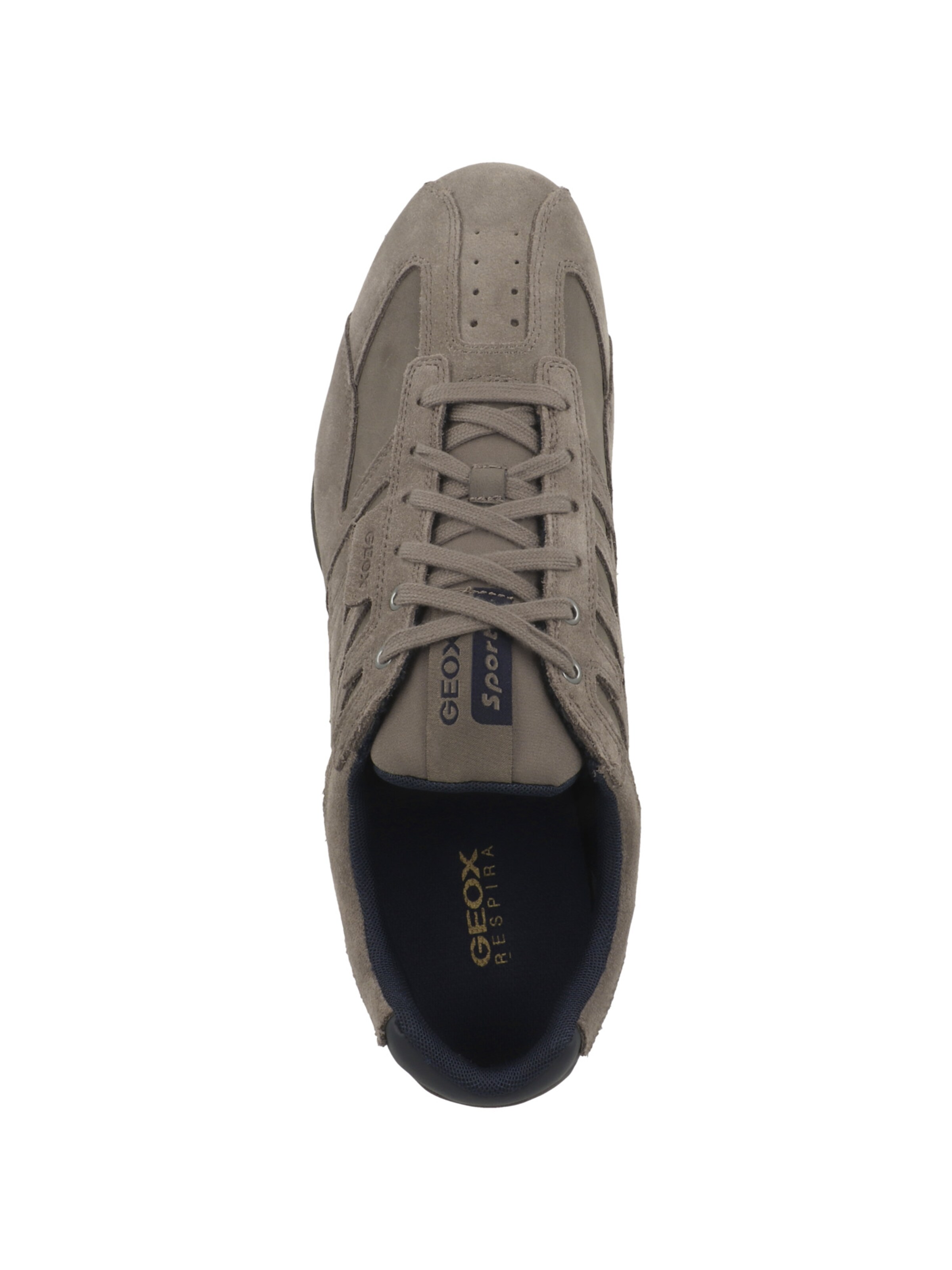 GEOX Sneaker 'U Snake A' in Grau