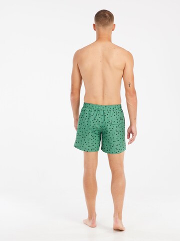 PROTEST Board Shorts 'PRTJuan' in Green
