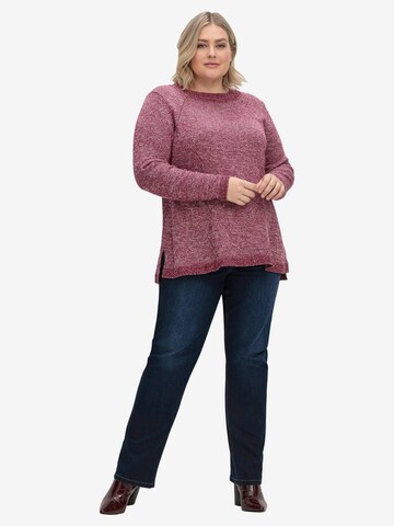 SHEEGO Sweater in Purple