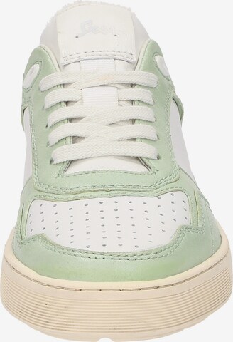 SIOUX Sneakers laag 'Tedroso-DA-700' in Groen