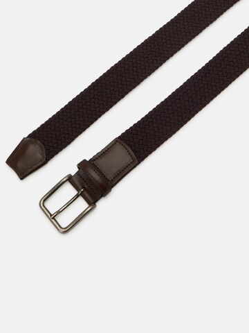 Lloyd belts Belt in Brown