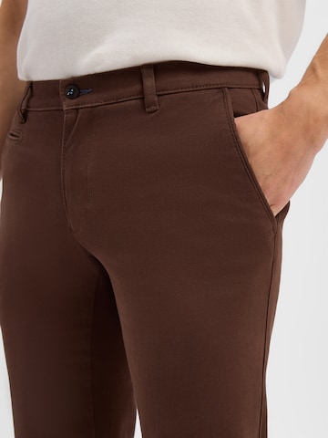 BRAX Regular Hose 'Fabio In' in Braun