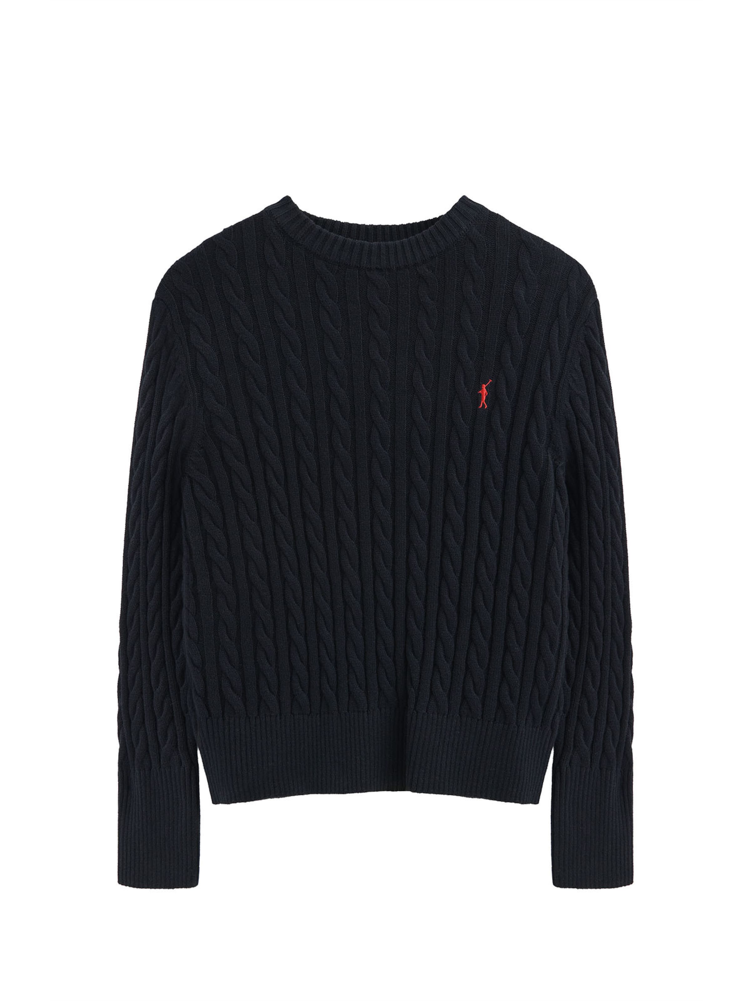 Polo Club Sweater in Blue: front