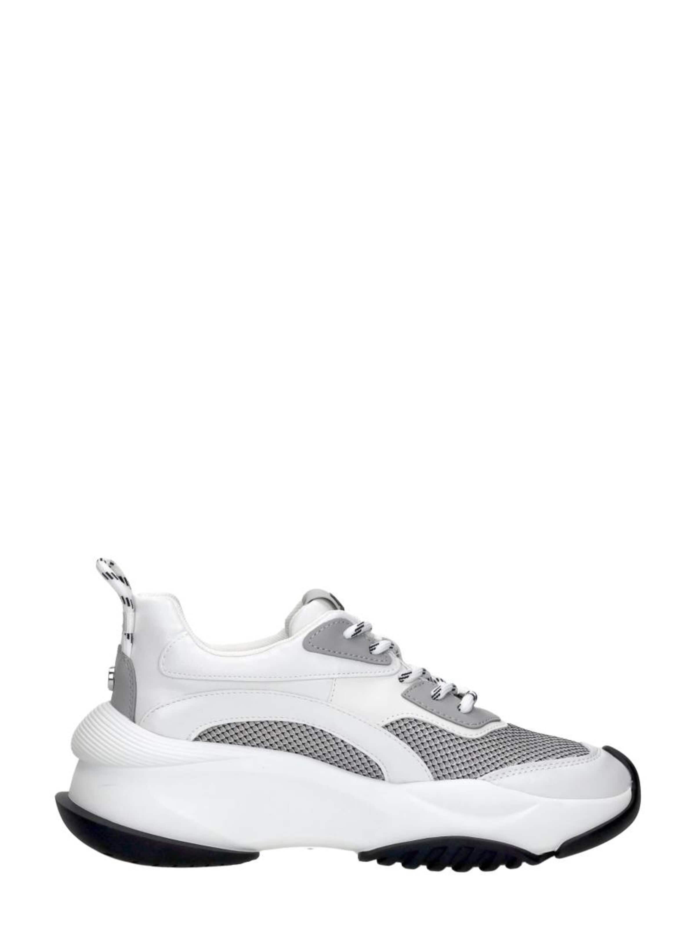 Baskets basses 'Belissimo' STEVE MADDEN en blanc