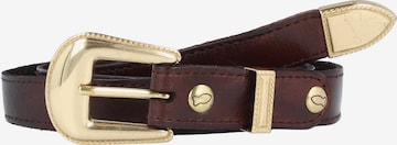Campomaggi Belt in Brown: front