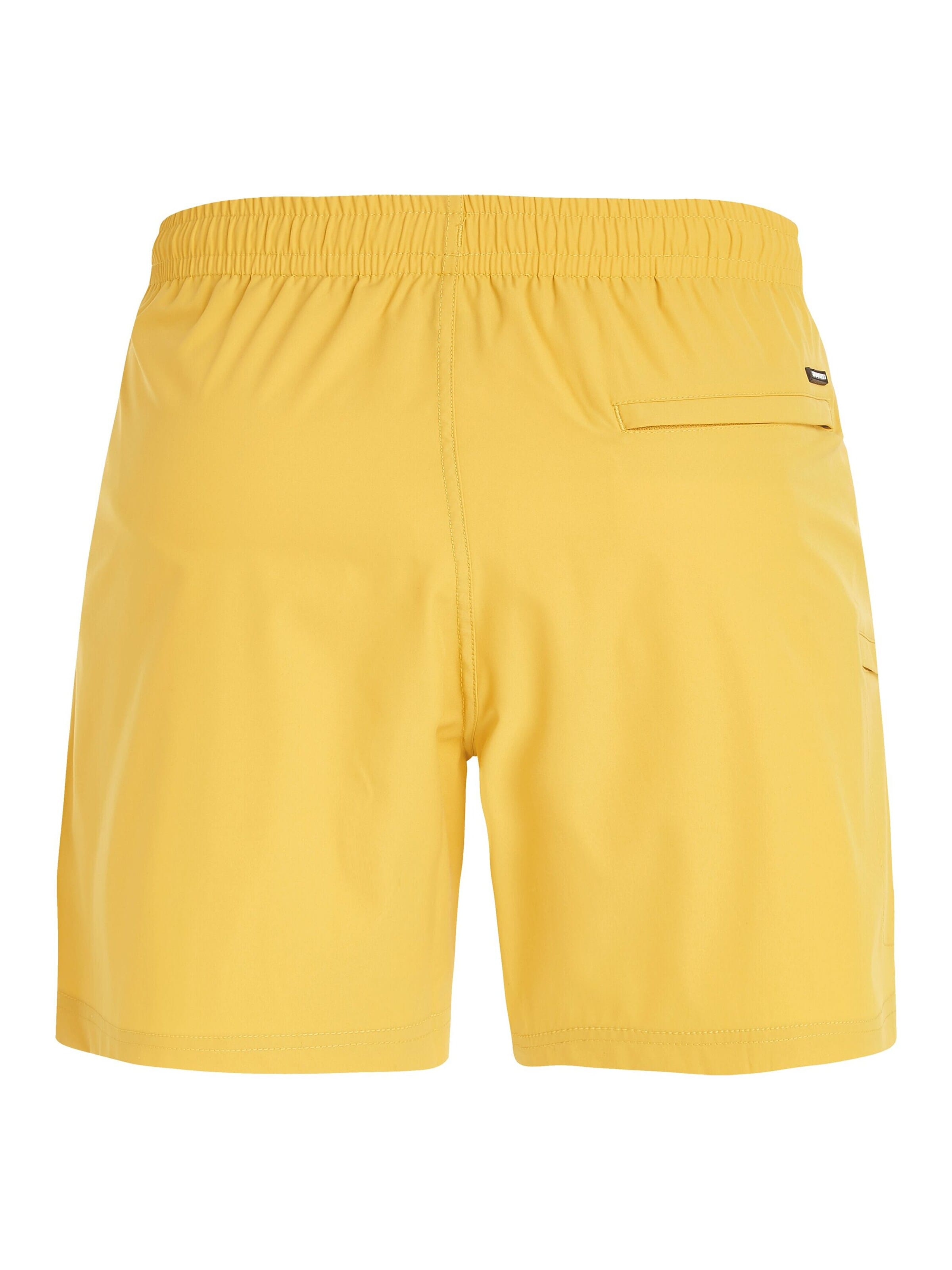 PROTEST Board Shorts 'PRTYESSINE' in Yellow