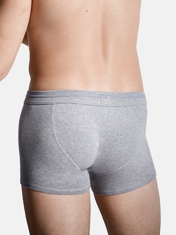 SCHIESSER Boxer shorts in Grey