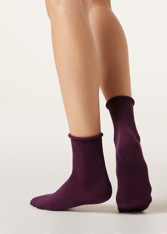 CALZEDONIA Socken in Rot: Vorderseite