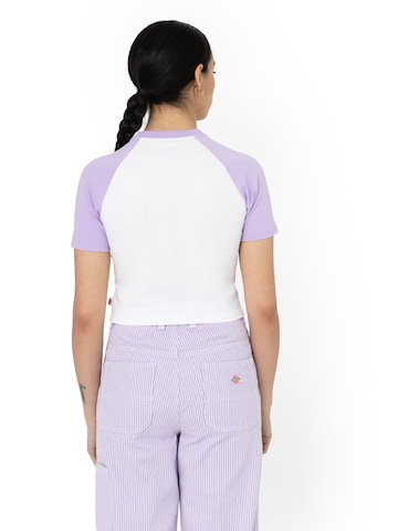 DICKIES Shirt 'Sodaville' in Purple