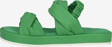 Crickit Sandalen met riem 'JANEKE' in Groen