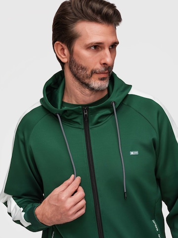 Ombre Sweatshirt in Green