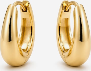 Boucles d'oreilles 'Majesty' CHIVAL en or : devant