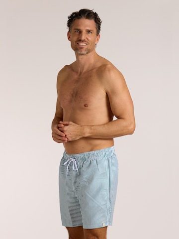 wavebreaker Board Shorts in Green