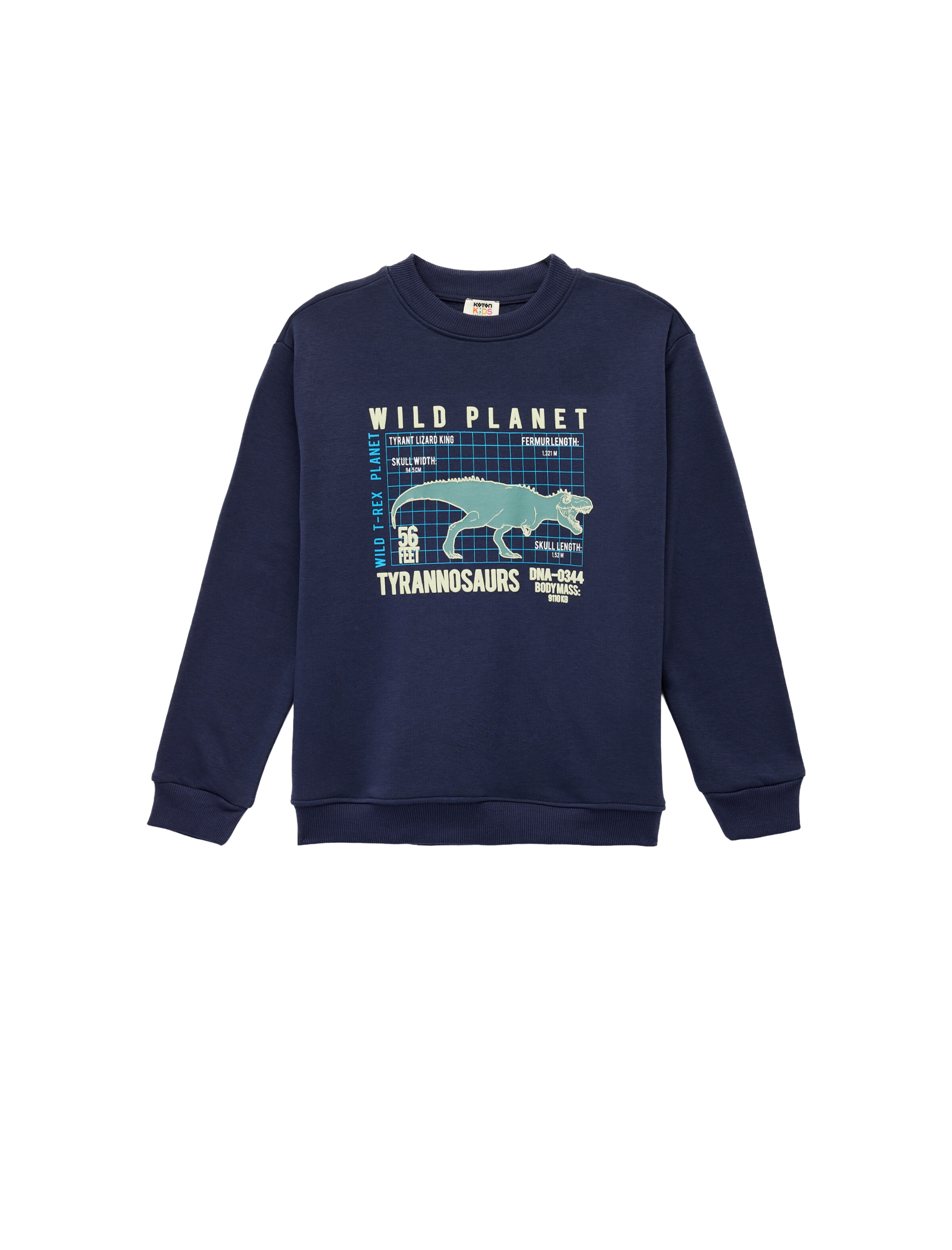 Koton Sweatshirt in Blue: front