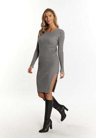 faina Knitted dress in Grey