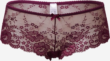 Culotte LASCANA en violet : devant