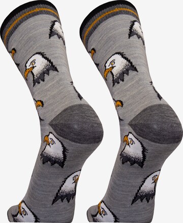 UphillSport Socken 'EAGLE' in Grau
