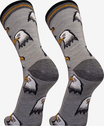 UphillSport Socks 'EAGLE' in Grey