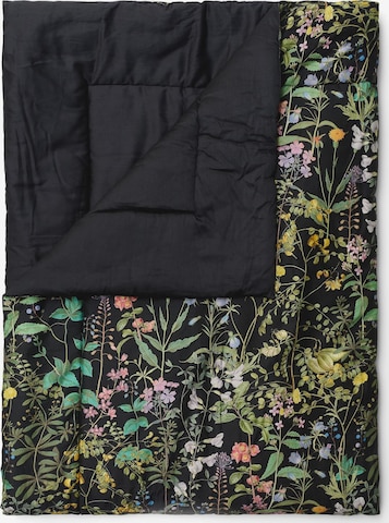 ESSENZA Blankets 'Augustina' in Grey: front