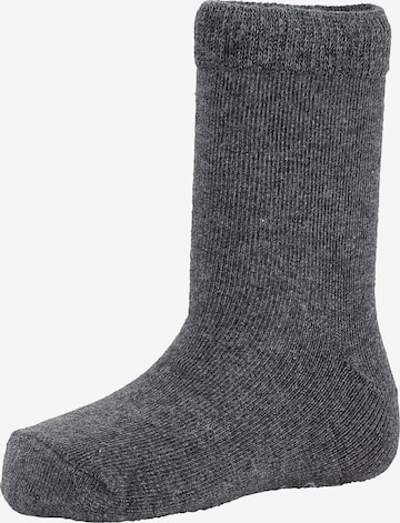 STERNTALER Socks in Grey