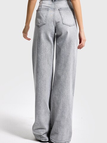 Loosefit Jean 'Loose Mid Rise Jeans' IT'S BASIC en gris