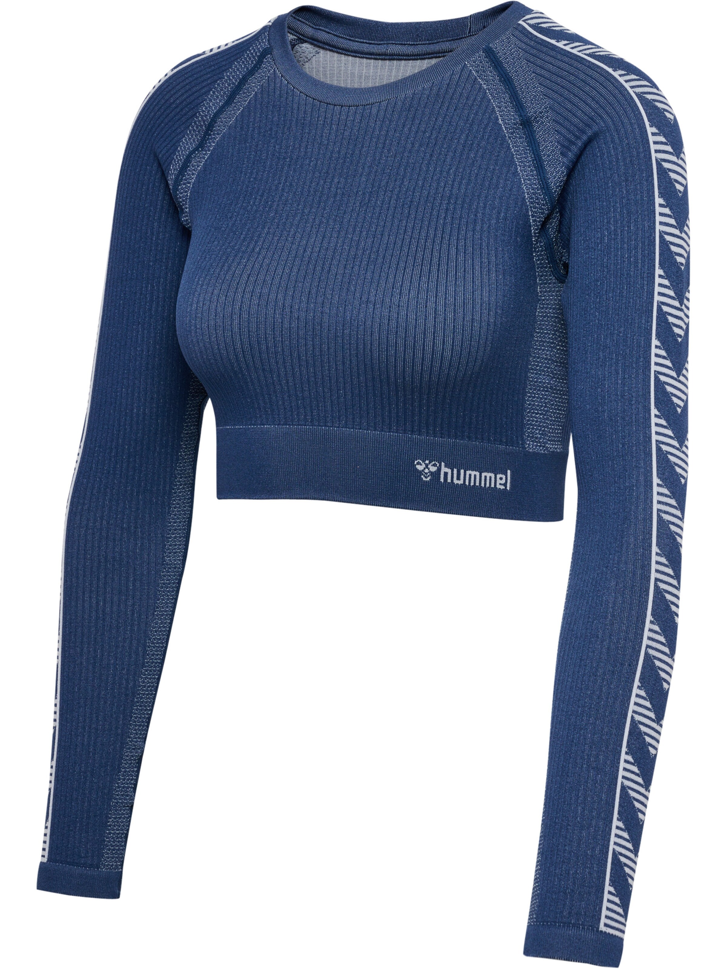 Hummel Functioneel shirt in Blauw