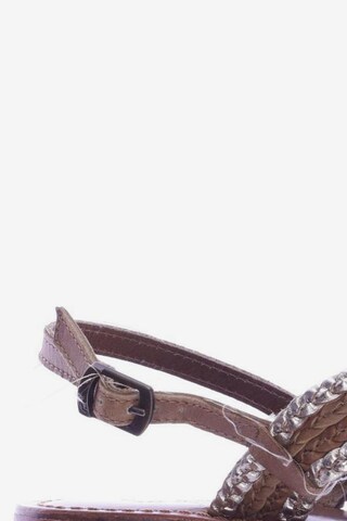 INUOVO Sandals & High-Heeled Sandals in 37 in Brown