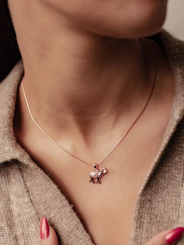 Hey Happiness Ketting 'Success Spirit' in Goud