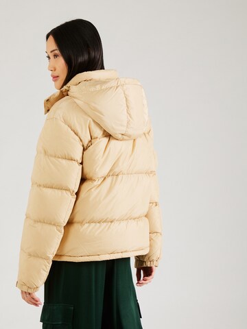 Tommy Jeans Winter jacket 'Alaska' in Beige