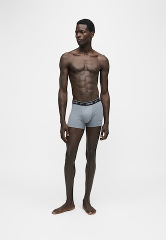 NIKE Underwear Boxershorts 'Everyday' in Blauw