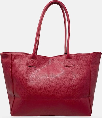 CHICCA BORSE Shopper in Red: front