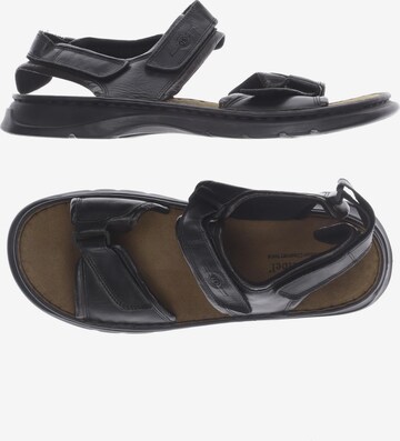 JOSEF SEIBEL Sandals & Slippers in 49 in Black: front