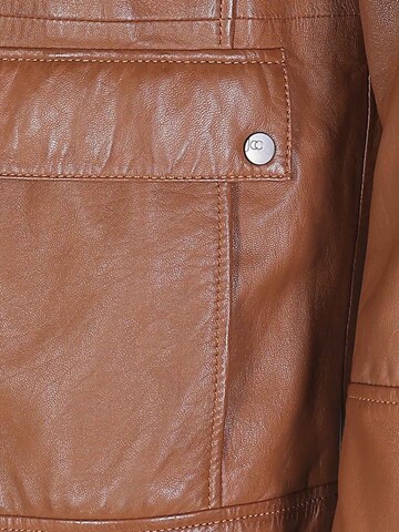 JCC Tussenjas in Bruin