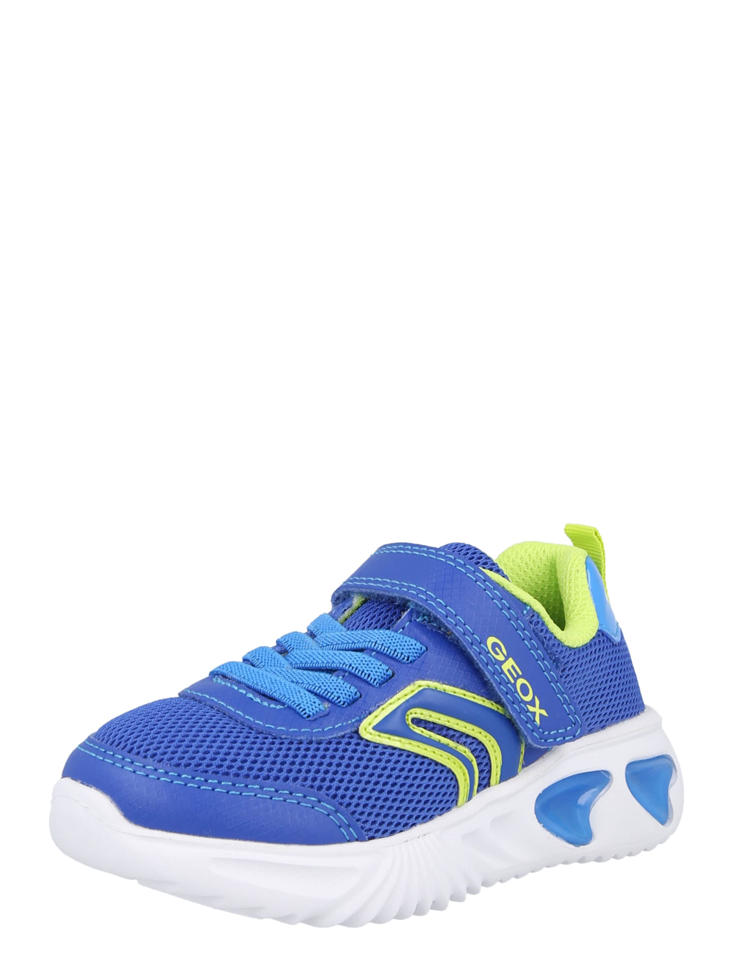 GEOX Sneaker 'ASSISTER' in Blau: Vorderseite