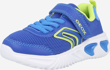 mėlyna GEOX Sportbačiai 'ASSISTER': priekis