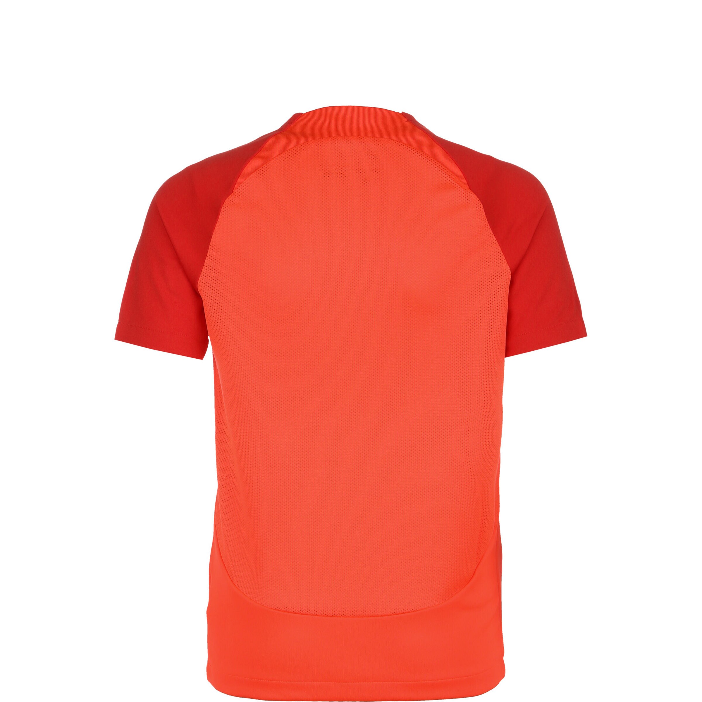 NIKE Funktionsshirt 'Academy' in Rot