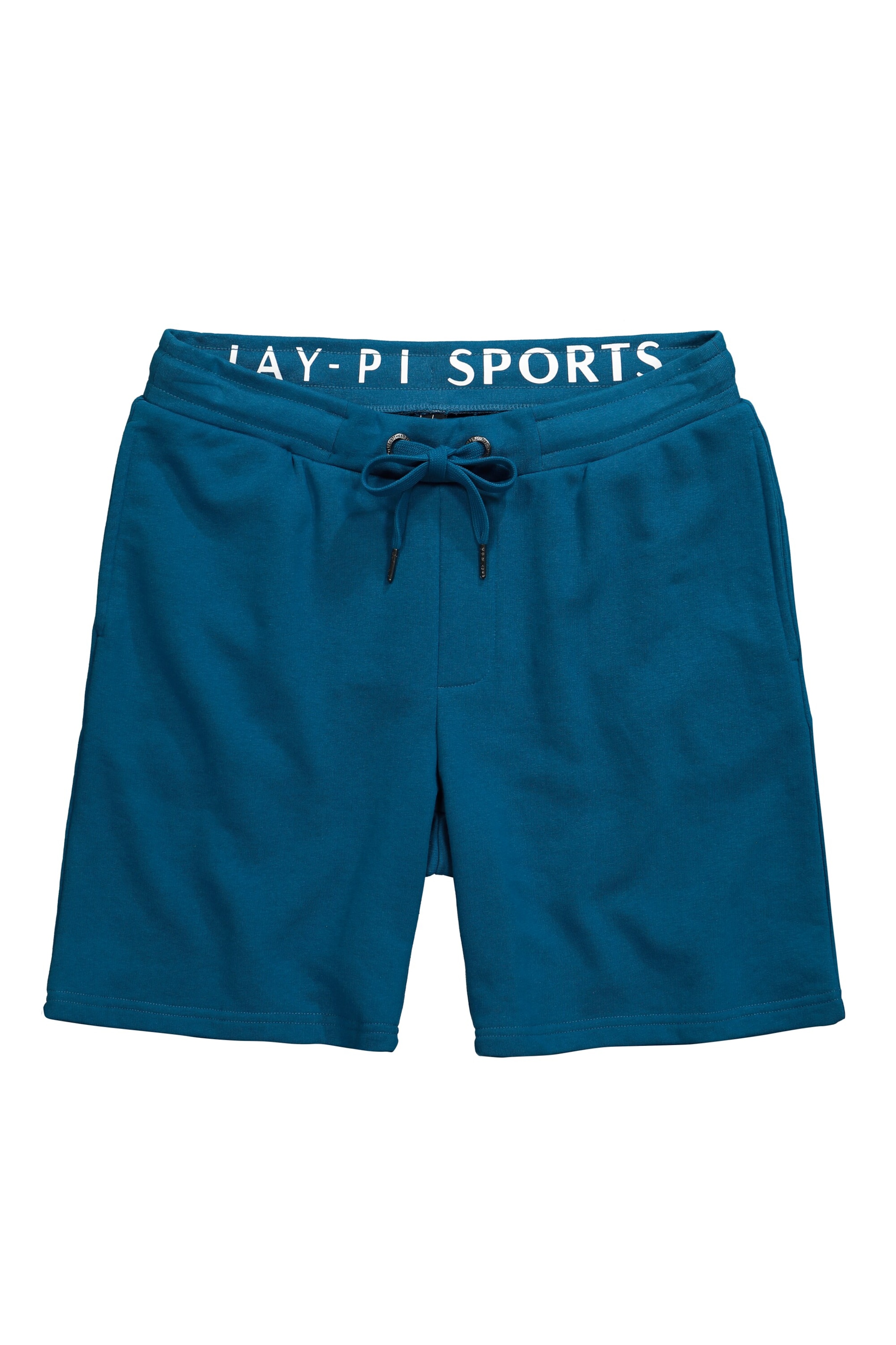 JAY-PI Regular Hose in Blau: Vorderseite