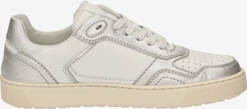 SIOUX Sneakers laag 'Tedroso' in Zilver