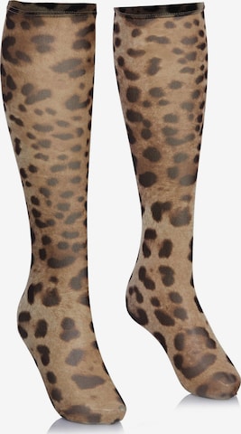 DOLCE & GABBANA Socken in Braun: Vorderseite