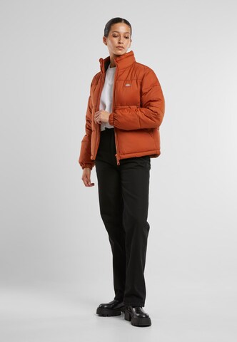DICKIES Winter jacket 'Alatna' in Brown