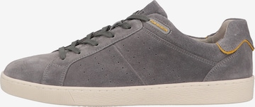 Pius Gabor Sneakers in Grey: front