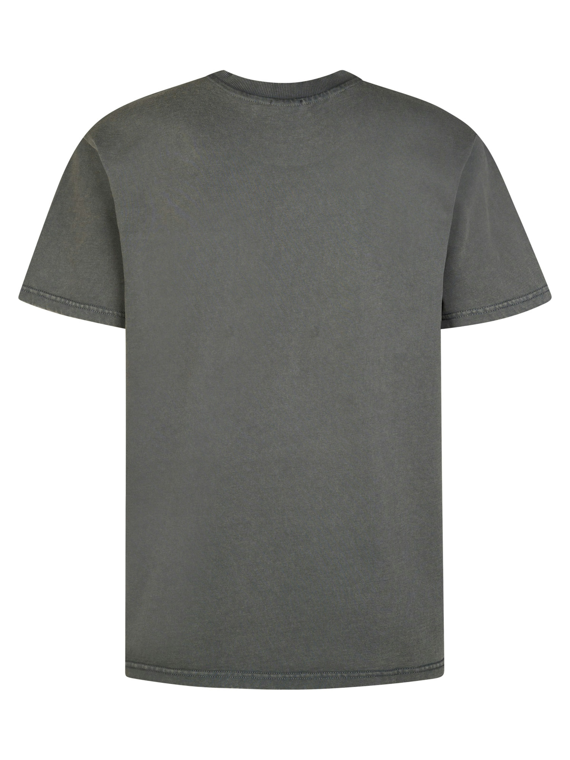 Petrol Industries T-Shirt in Grün