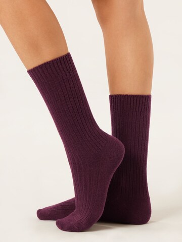 CALZEDONIA Socks in Red